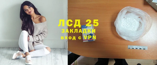 стафф Вяземский