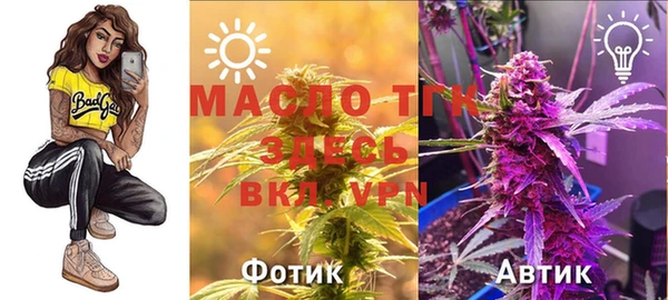 твердый Вязьма