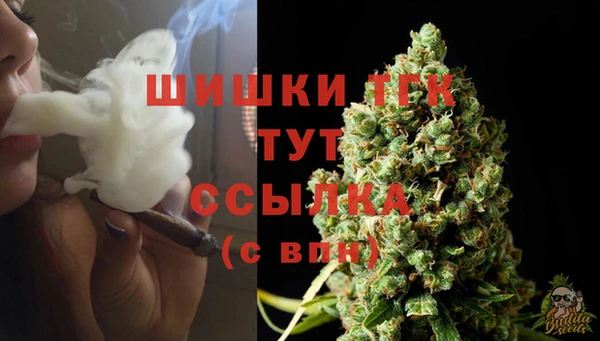 твердый Вязьма